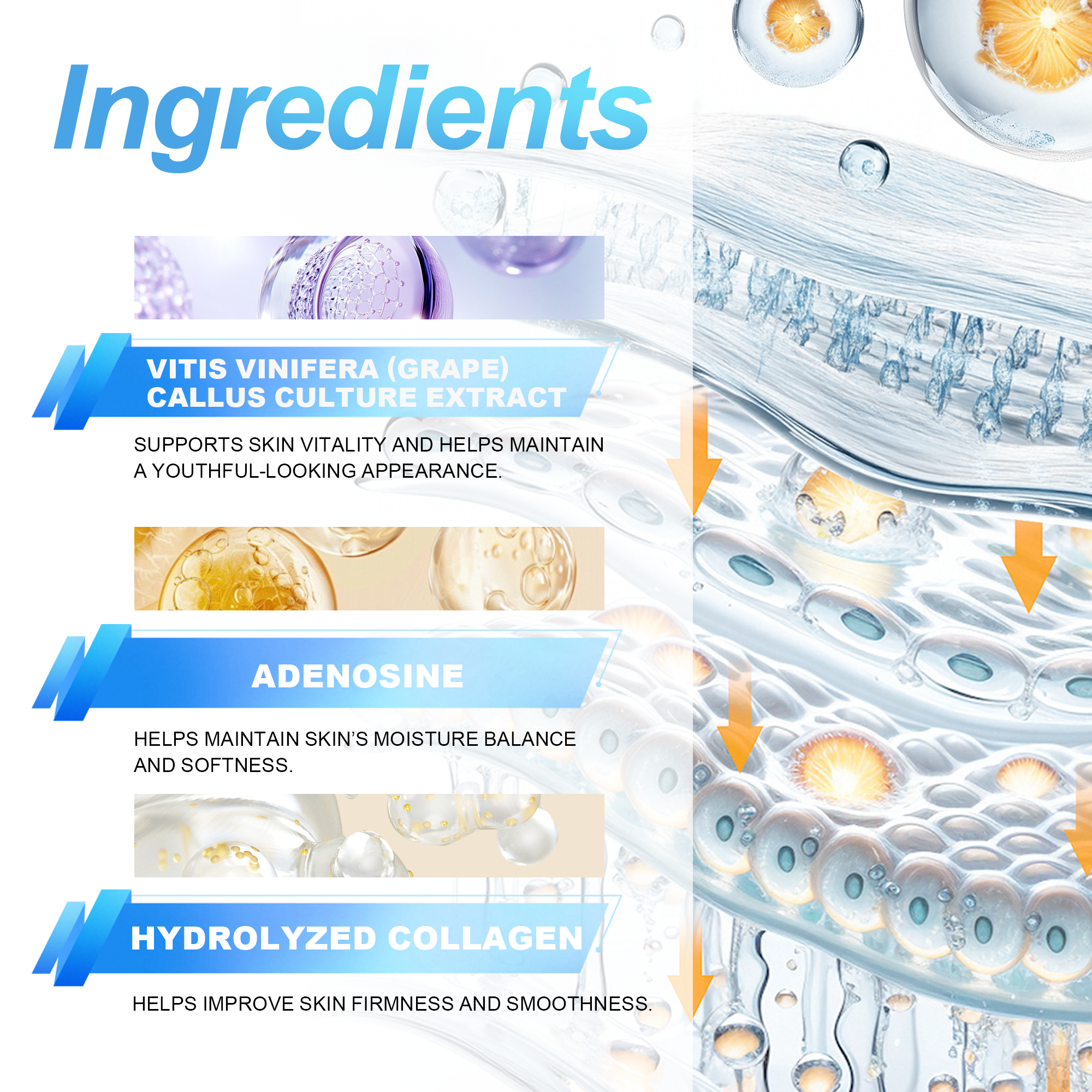 Stem Cell Face Serum Hydrating & Rejuvenating 1oz